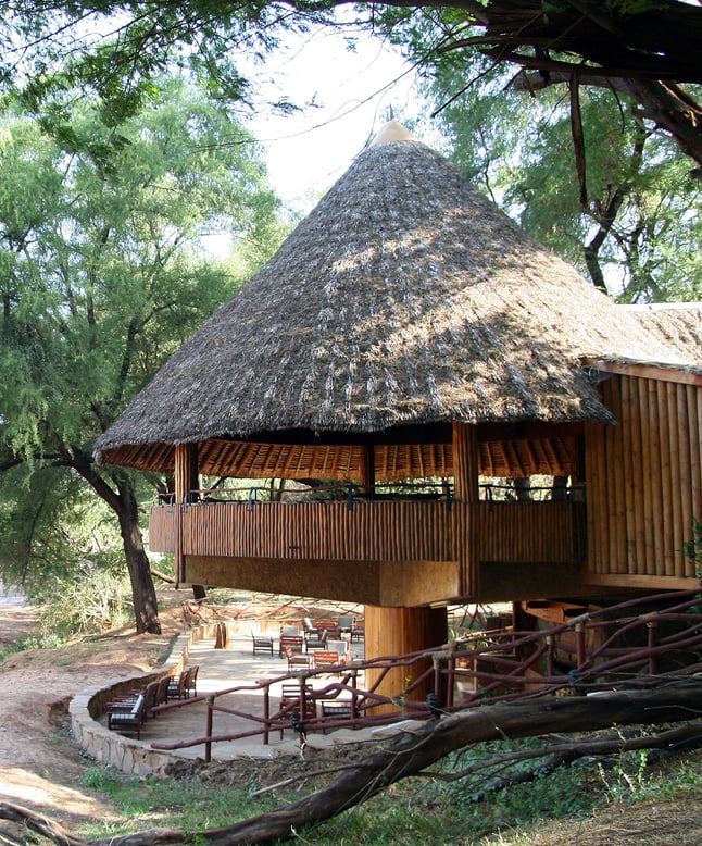 African Bar in a Safari Resort